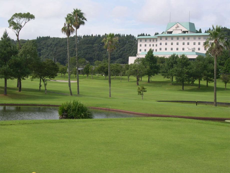 �����ø� �׸���  Ư������