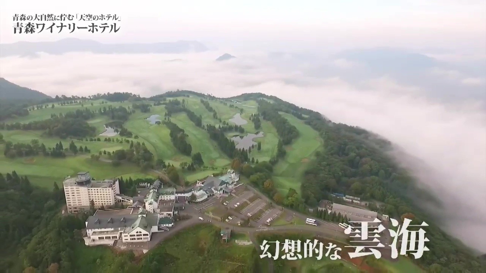 �ع� 700����   �ƿ��� �ξ�